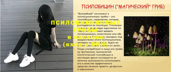 гашик Балабаново