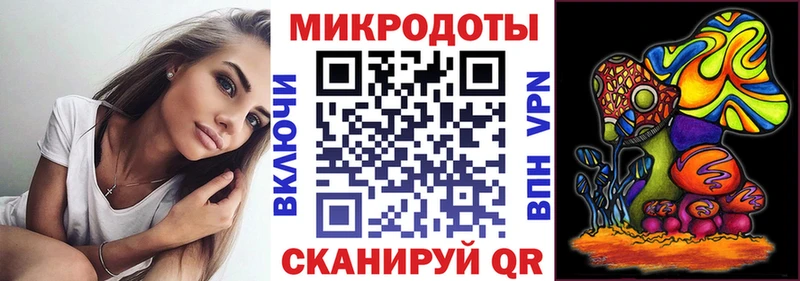 Псилоцибиновые грибы Cubensis  закладки  Питкяранта 